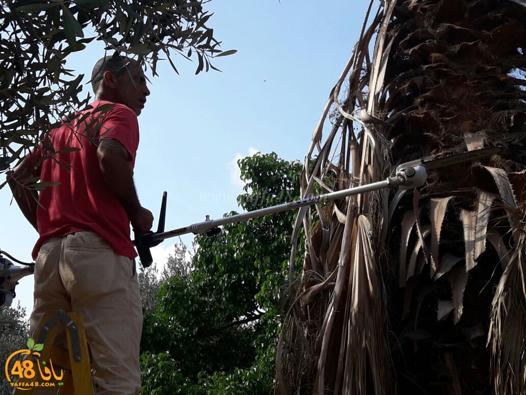 maqbara yaffai39 tandef (36).jpg